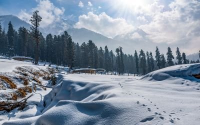 Kashmir Tour